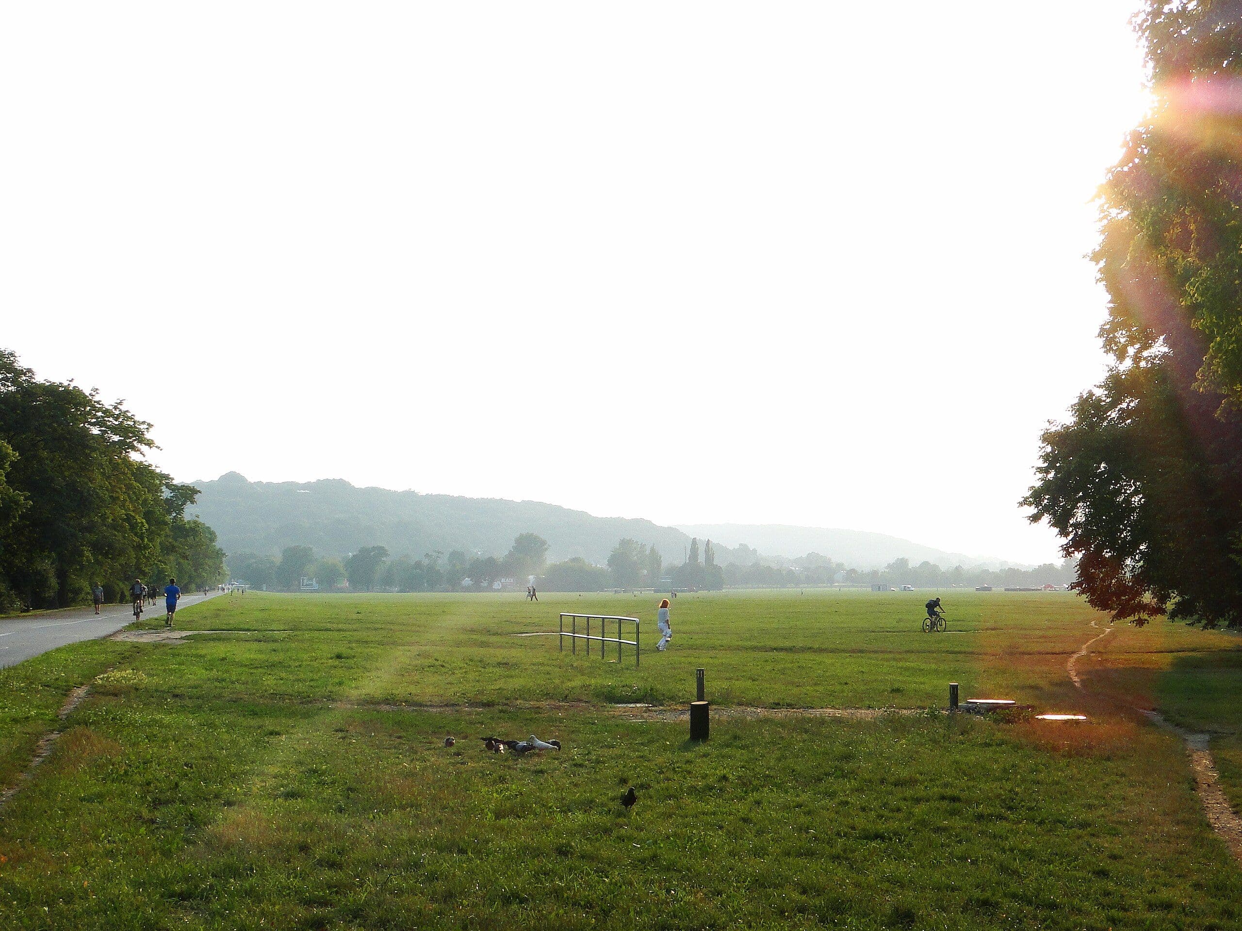Błonia Meadow – Historic Green City Meadow