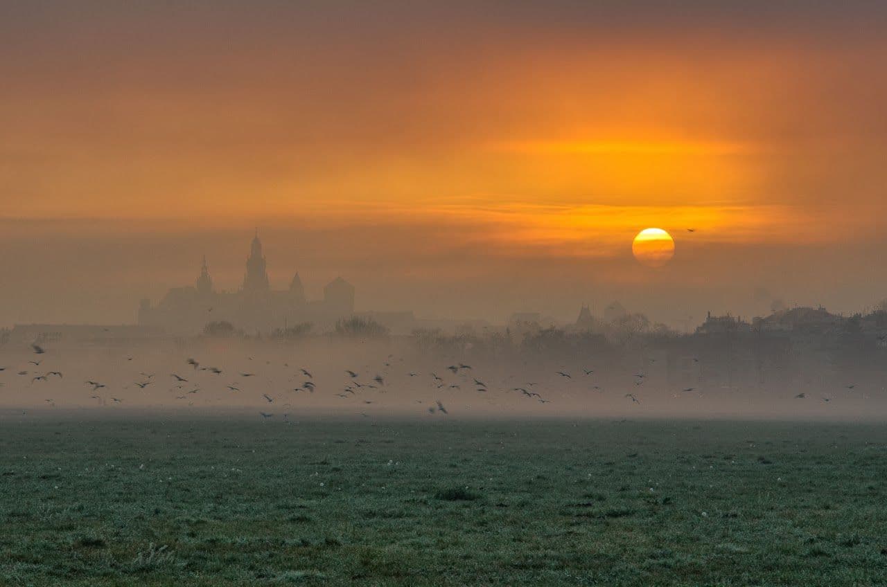 Błonia – Historic Green Meadow