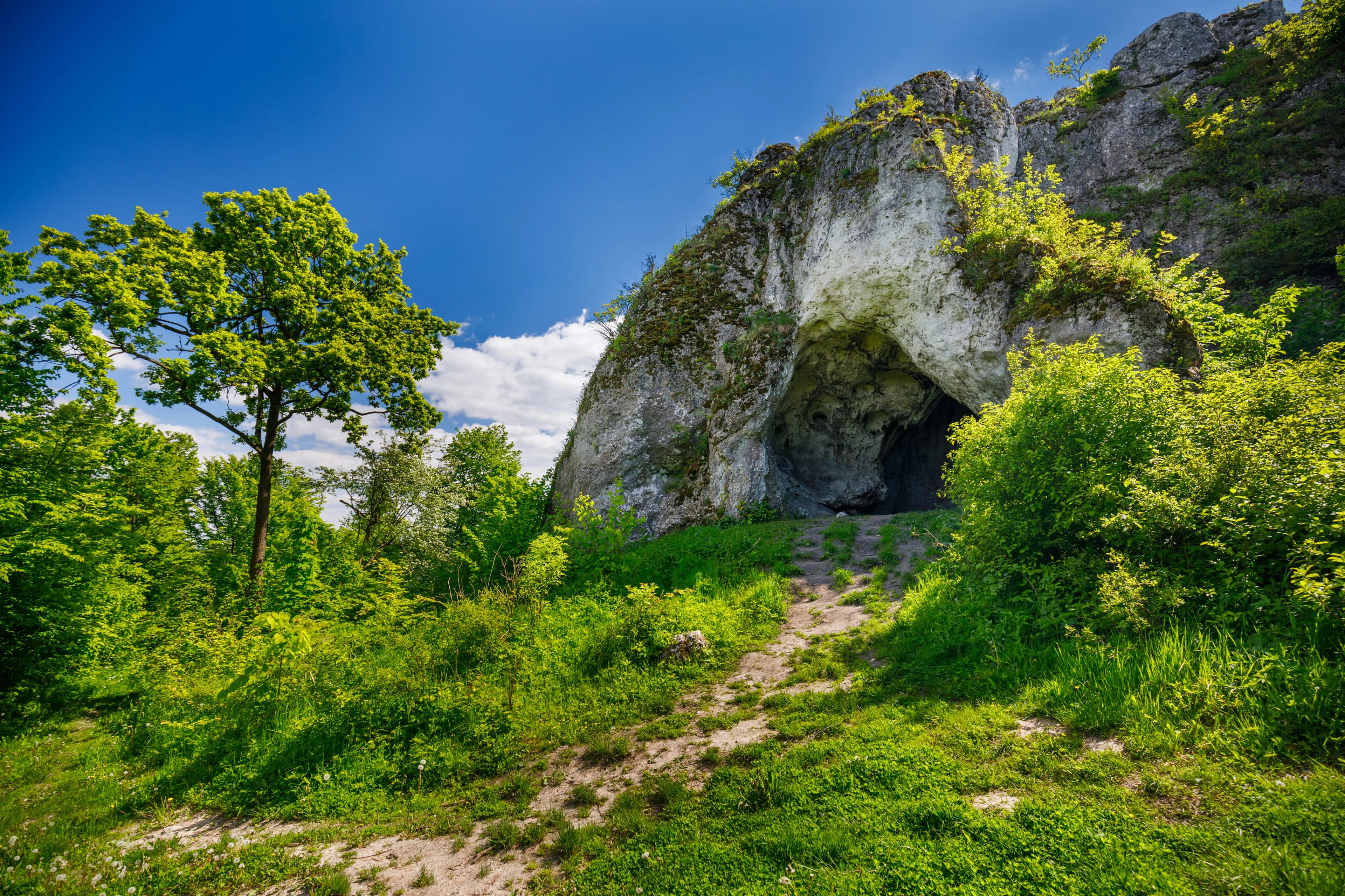 Wodąca Valley near Krakow – A Hidden Nature Escape