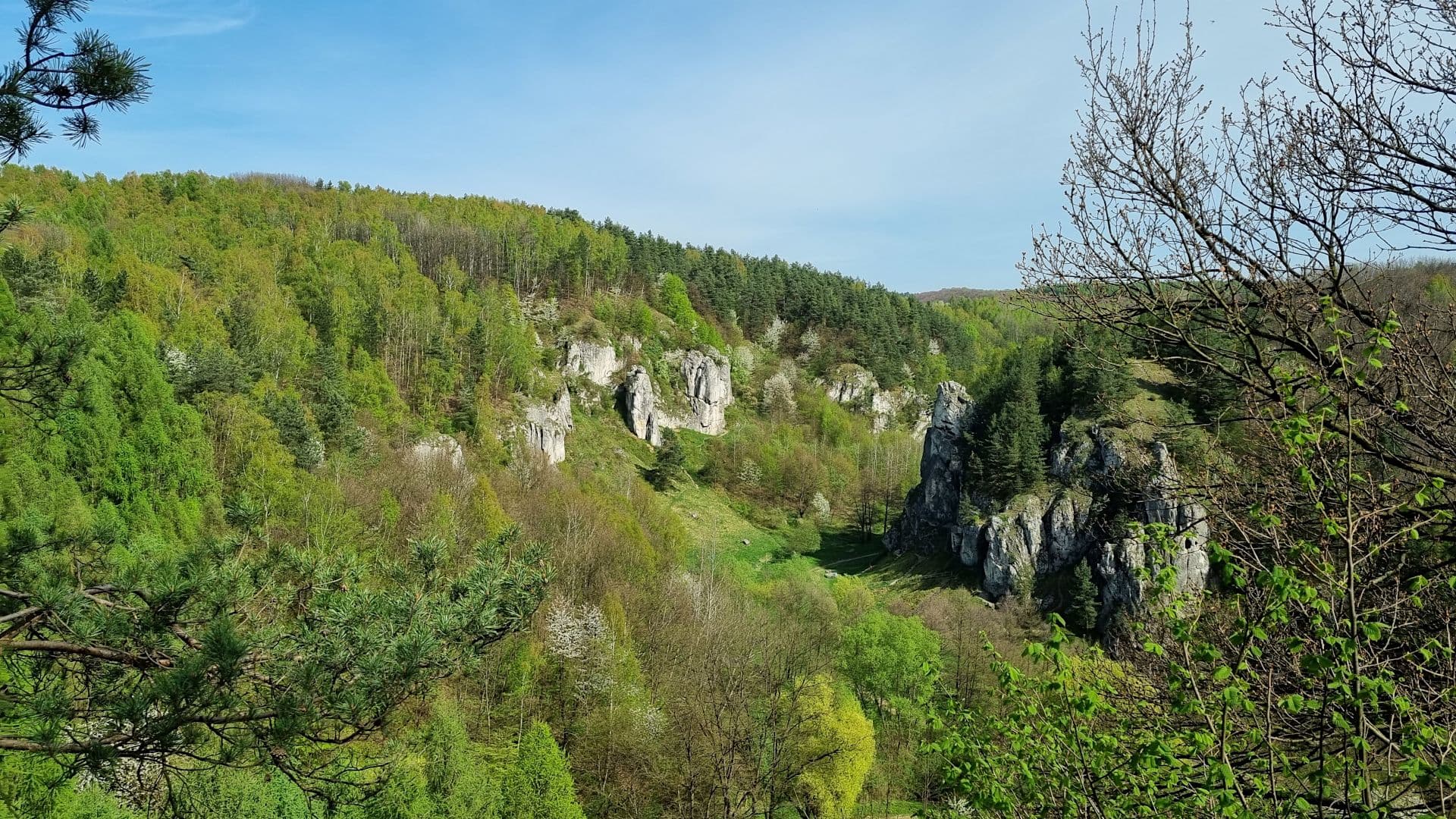 Kobylańska Valley – Scenic Limestone Canyon near Kraków